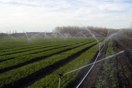 riego_aspersion_aluminio-4212 riego_aspersion_aluminio-4212